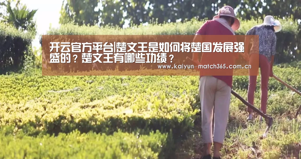 开云官方平台
